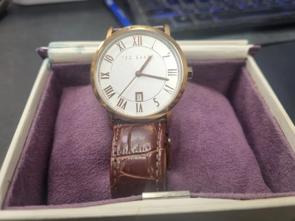 Laikrodis Ted Baker